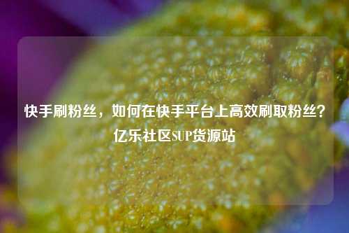 快手刷粉丝，如何在快手平台上高效刷取粉丝？亿乐社区SUP货源站  第1张